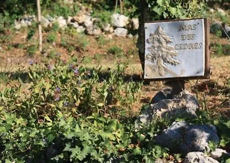 Mas Des Cedres Anduze
