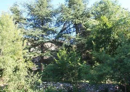 Bed & Breakfast Mas Des Cedres *